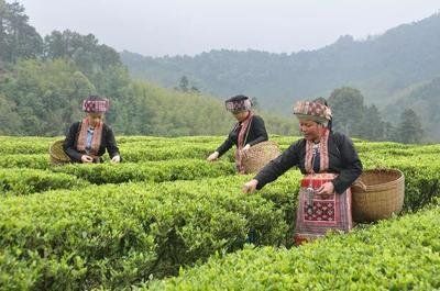 悦欣护航网