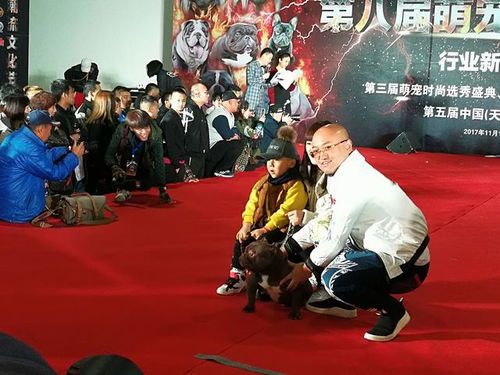 “萌宠大赛晋级名单大揭晓!”