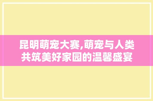 昆明萌宠大赛,萌宠与人类共筑美好家园的温馨盛宴