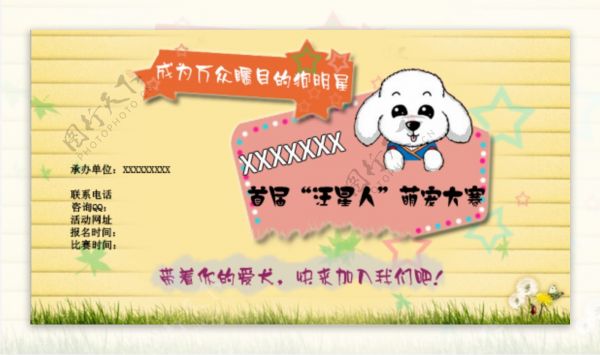 宠物大赛