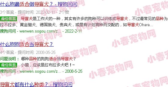 适合导盲犬种类