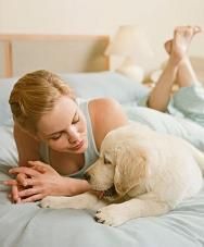导盲犬训练：如何选择适合的品种？