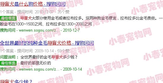 导盲犬价格什么品种