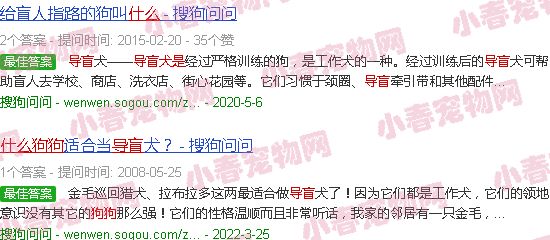 什么狗是导盲犬