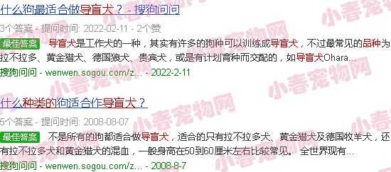 导盲犬品种的选择依据