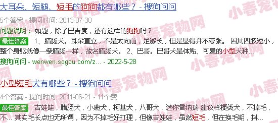 短毛小型狗狗品种大全及图片
