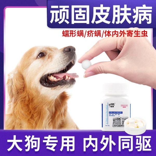 宠物驱虫后掉毛怎么办啊 宠物驱虫后掉毛怎么办啊图片