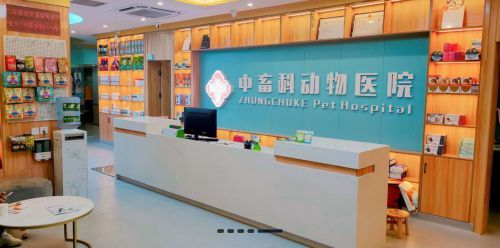 宠物体检、疫苗、驱虫、疾病治疗,一站式宠物健康服务