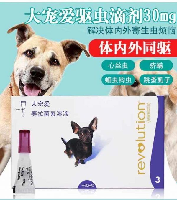 宠物驱虫耳朵痒怎么办啊 宠物驱虫药可以滴耳朵里吗