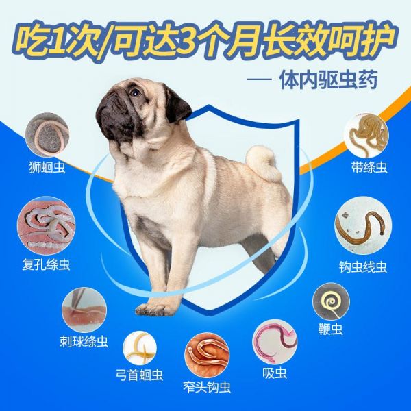 孕妇误食宠物驱虫剂怎么办 孕妇误食宠物驱虫剂怎么办啊