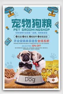 宠物养成指南：如何让你的宠物健康快乐？宠物饮食、运动、训练全方位指南