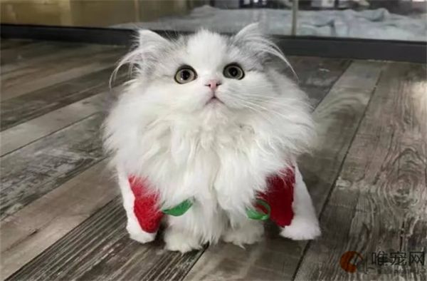 微信截图_20230510114133.jpg