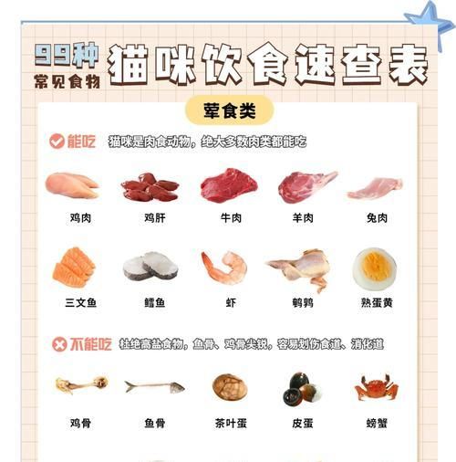 自制燕麦猫粮的食谱是什么？如何让自制猫粮更美味？