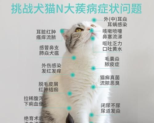 猫脓皮症治疗指南（以宠物为主的完整疾病治疗方案）