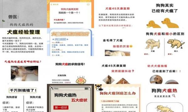 犬瘟康复期什么症状