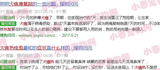犬瘟康复期什么症状