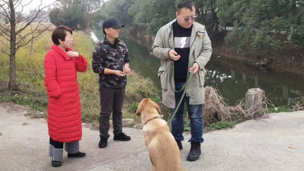 南昌训狗学校 南昌训犬基地 南昌宠物训练_2