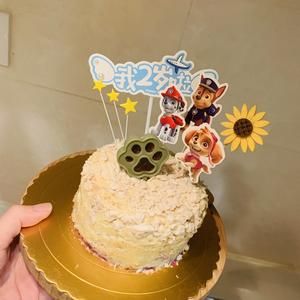 宠物蛋糕 无面粉的做法 步骤4