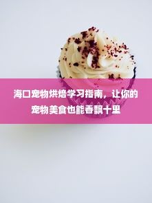 海口宠物烘焙学习指南，让你的宠物美食也能香飘十里