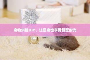 宠物烘焙DIY，让爱宠也享受甜蜜时光