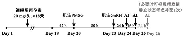 后备母猪定时输精技术流程示意图.jpg