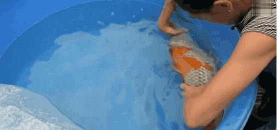 宠物鱼生病，土豪找医生给鱼做手术，表示为了鱼花多少钱都无所谓