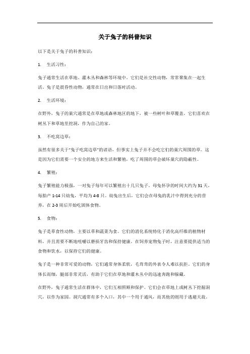 关于兔子的科普