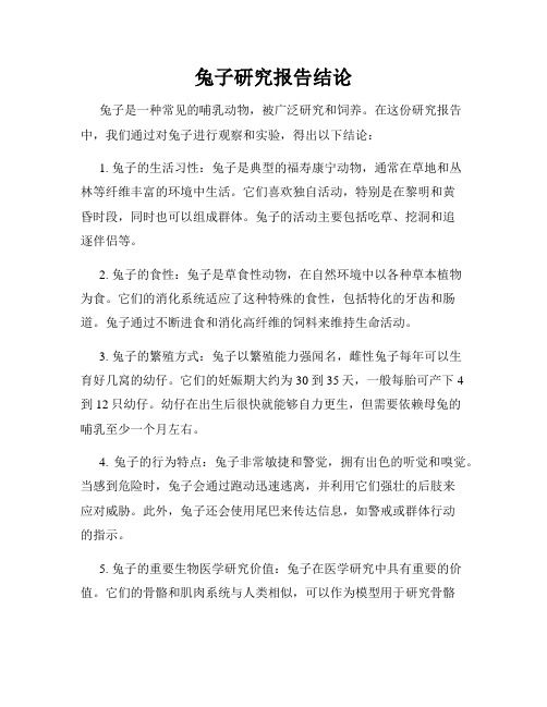 兔子研究报告结论