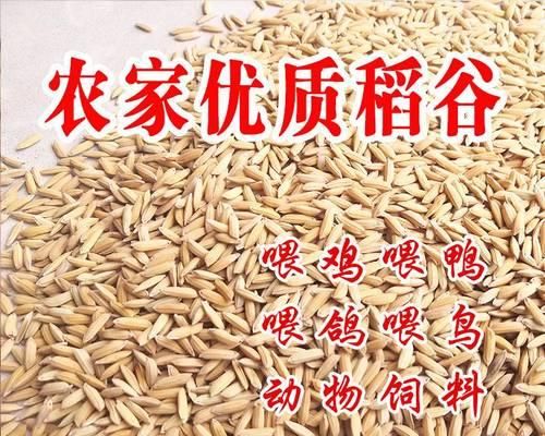 仓鼠的饲料选择（了解仓鼠的饮食需求，鸡饲料或成为理想之选）