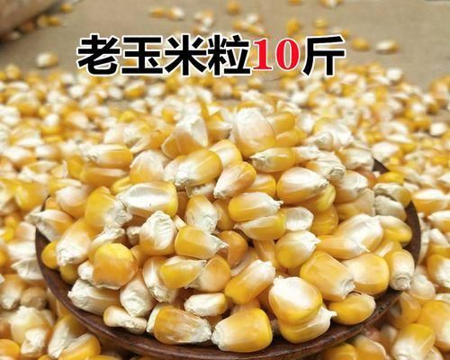 仓鼠的饲料选择（了解仓鼠的饮食需求，鸡饲料或成为理想之选）