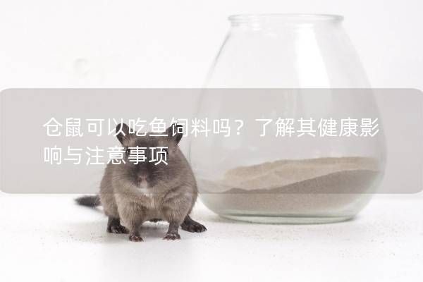 仓鼠可以吃鱼饲料吗？了解其健康影响与注意事项