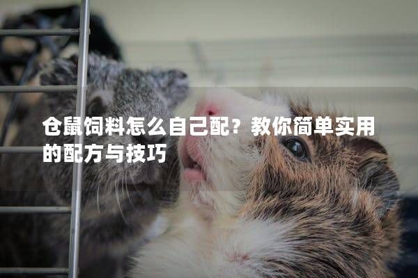 仓鼠饲料怎么自己配？教你简单实用的配方与技巧