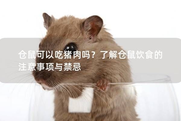 仓鼠可以吃猪肉吗？了解仓鼠饮食的注意事项与禁忌