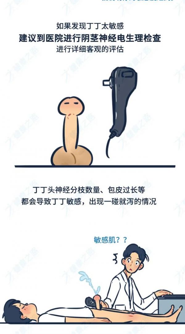 降低龟敏度的训练行为疗法丨技巧