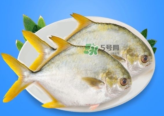 济宁市任城区海微宠物店 全国水族馆企业名录 第2张
