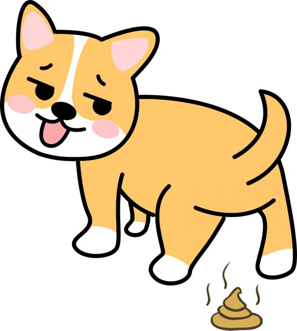 狗狗拉屎