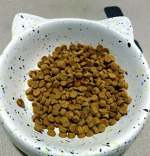 用杂鱼制作猫粮的方法是什么？这样做对猫咪健康有影响吗？