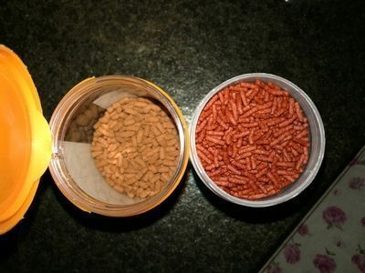 龙鱼鱼食制作方法（自制龙鱼饲料保存技巧） 龙鱼百科 第2张