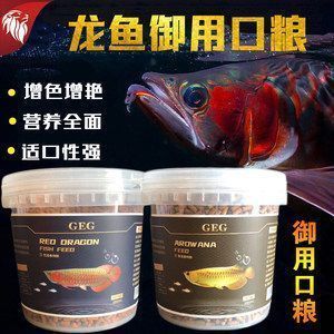 龙鱼鱼食制作方法（自制龙鱼饲料保存技巧） 龙鱼百科 第1张