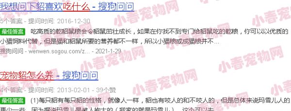 宠物貂吃什么怎么喂养