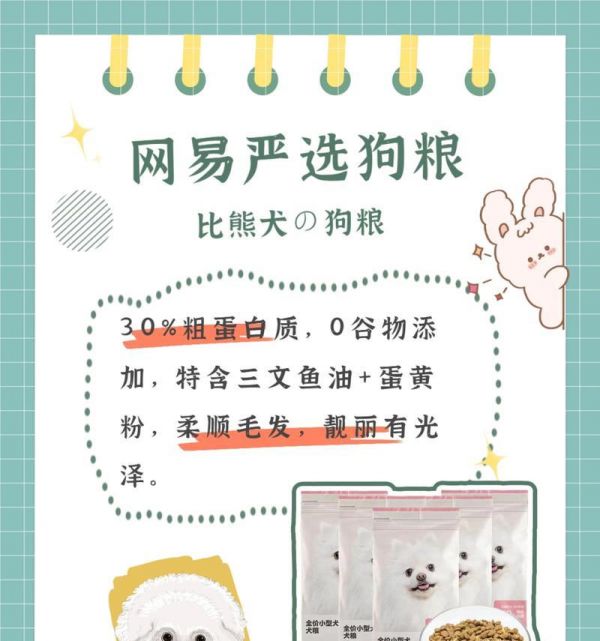 比熊怀孕期间狗粮喂食的注意事项是什么？