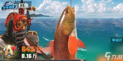 宠物鱼乐园,种类鉴一网打尽