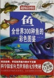 宠物鱼乐园,种类鉴一网打尽