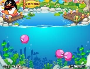 养鱼乐园,宠物生活指南