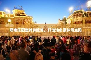 萌宠乐园室外锦鲤池，打造治愈系休闲空间