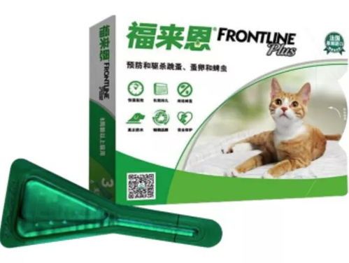 宠物驱虫,科学喂养,养护无忧