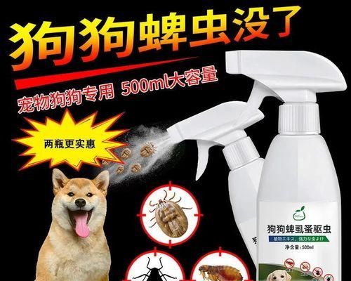 以蜱虫狗什么时候驱虫？（宠物养护知识分享）