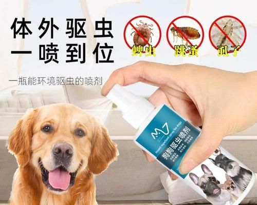 以蜱虫狗什么时候驱虫？（宠物养护知识分享）