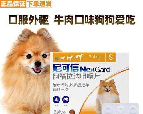狗狗驱虫的正确时机（养宠人必读的免疫保健知识）