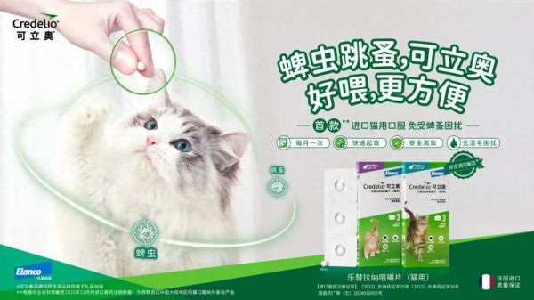瞄准驱虫革命,礼蓝动保推出首款进口猫用口服外驱产品